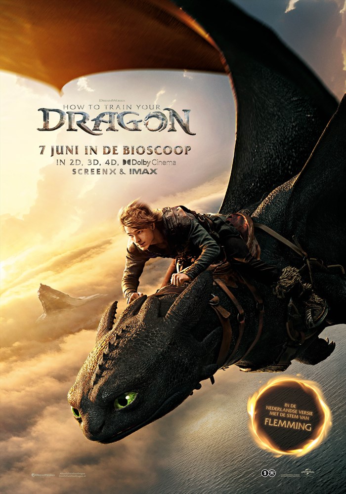 how-to-train-your-dragon_35015_194789_ps.jpg