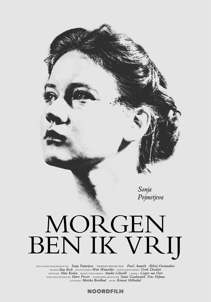 online-filmposter-nl.jpg