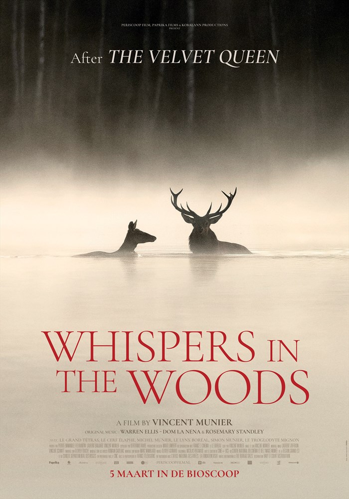 whispers-in-the-woods_36288_204297_ps.jpg